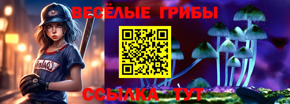 Пятигорск  Галлюциногенные грибы GOLDEN TEACHER  Вход с VPN  Галлюциногенные грибы MAGIC MUSHROOMS 